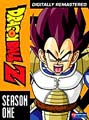 DBZseason1.jpg